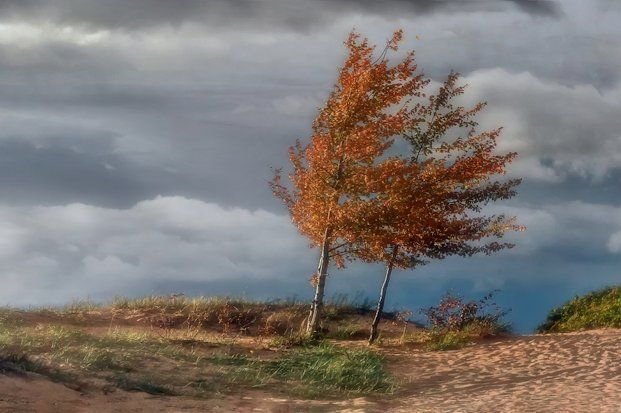 �������������� ������������� � ������� �����