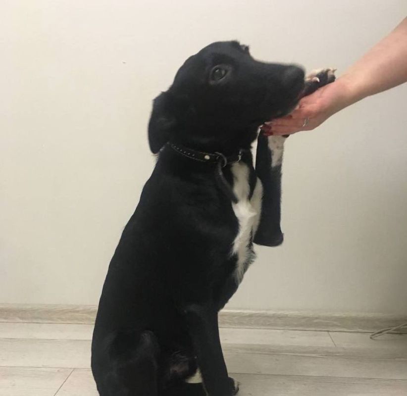 � ����� ��������� ��� �� ������ "����" ������� ������ ����������, � �������� �������� �������� ����� � ��������