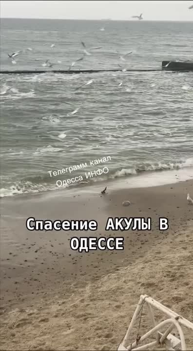 �������� ����� � ������. ����� �� ����� �� ������ �������� ������� ������������ �����, ������� ������� �������� �� �����