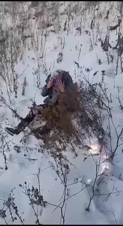 ������� �� ����� ����� ���� �������� ������ �� ����� � ����� ������: ��� ��� �������� 30 �������