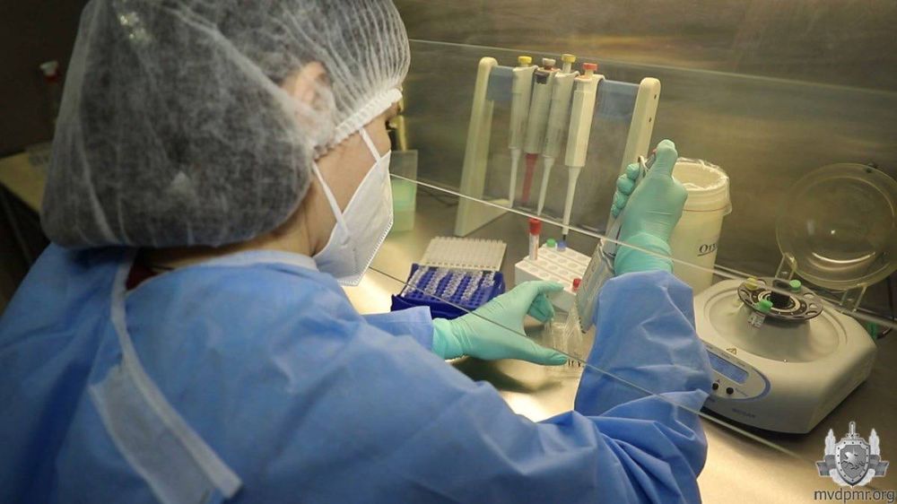 ������� � �����������. ����������� ������������������ �����������, ����������� �����������, ��������� � ����� ������....