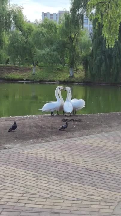 ���� � ������� ������ ������ �� �������� ������, ������ ��������� ������ ��������