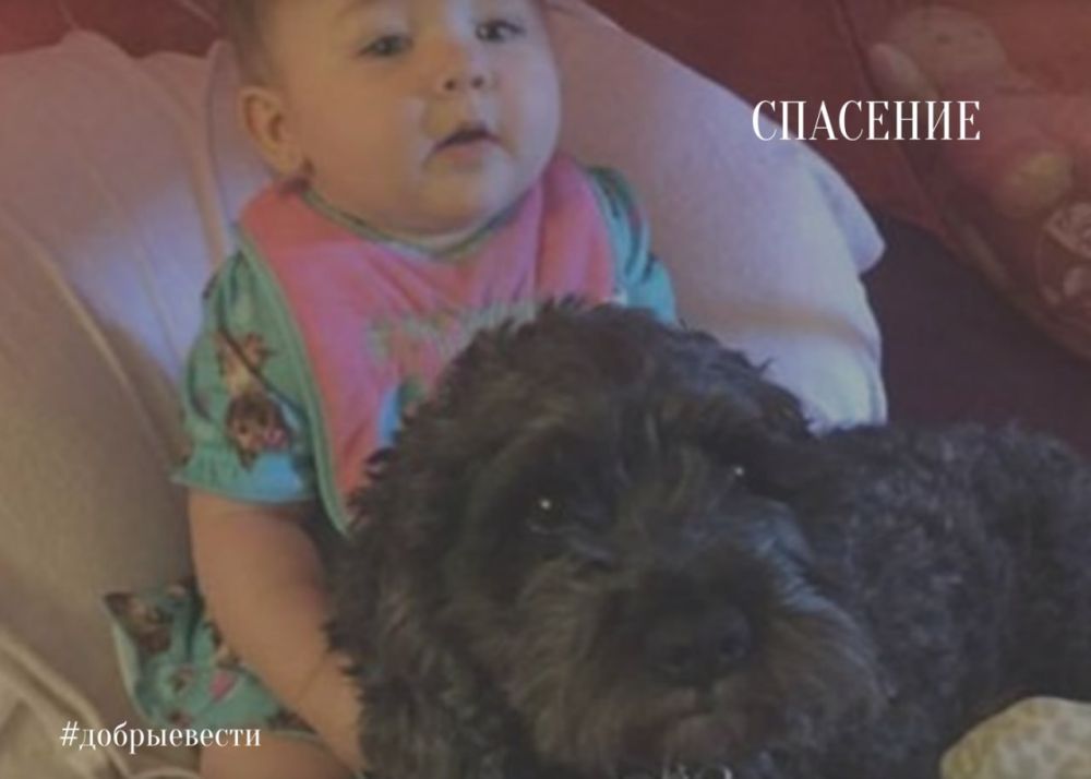 ������ ����� ����������� ����� ������ �� ���� 8-�������� �������