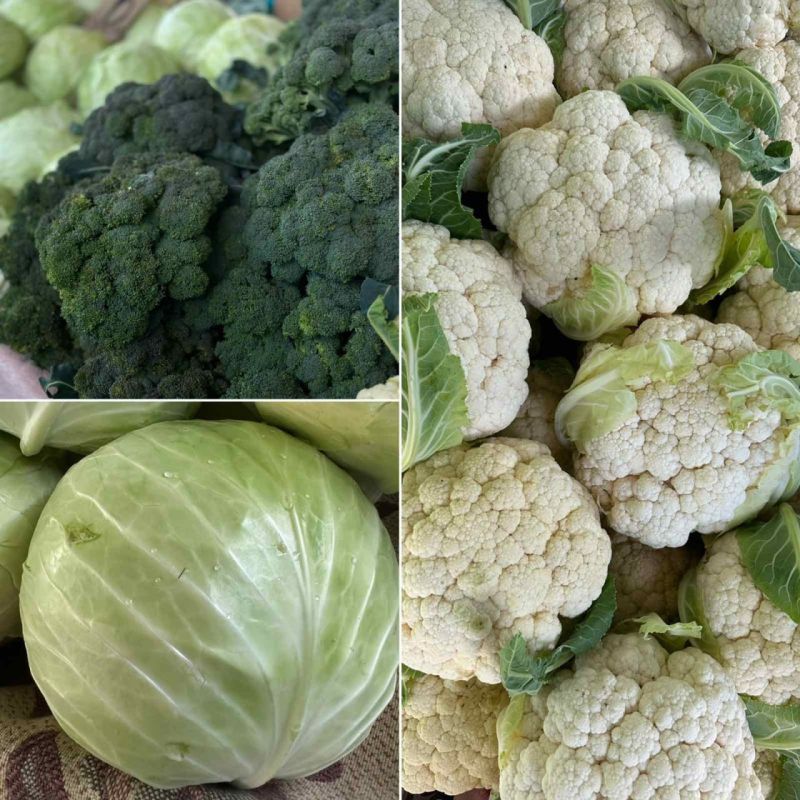 ������� ����� �������. �� ������� ����� ����� �� �������, ��������� � ������ �� �����. ���� ������ ����� ������