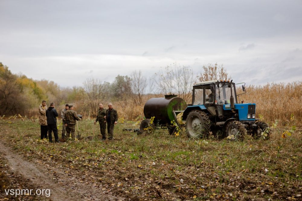 Почти две с половиной тысячи саженцев тополя гибридного высадили сегодня на республиканском субботнике парламентарии вместе с членами Правительства