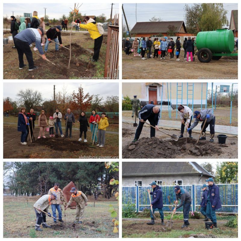 �������, ������� � ����������� ���������� ���������� ����������� �������������� ������ �� ����������