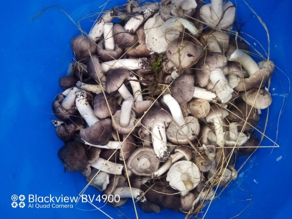 � ���� ������� ������ � ������ �������������