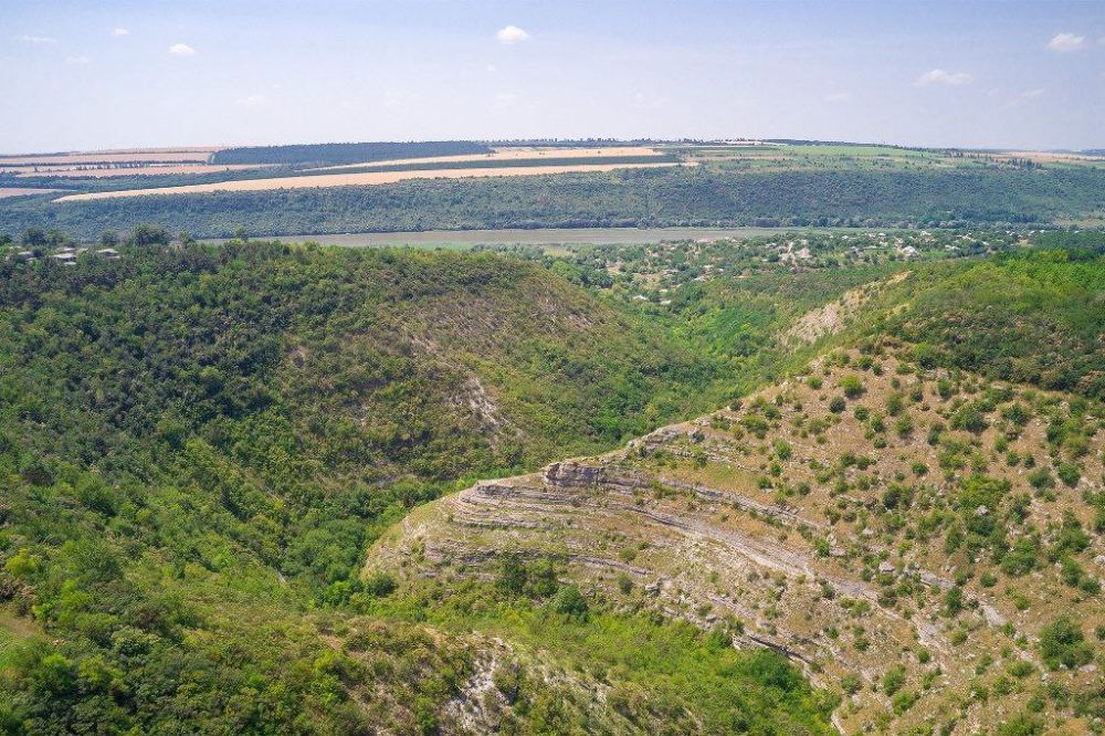 ����� 110 ����� ������ ������� �� ����������� �� �������������