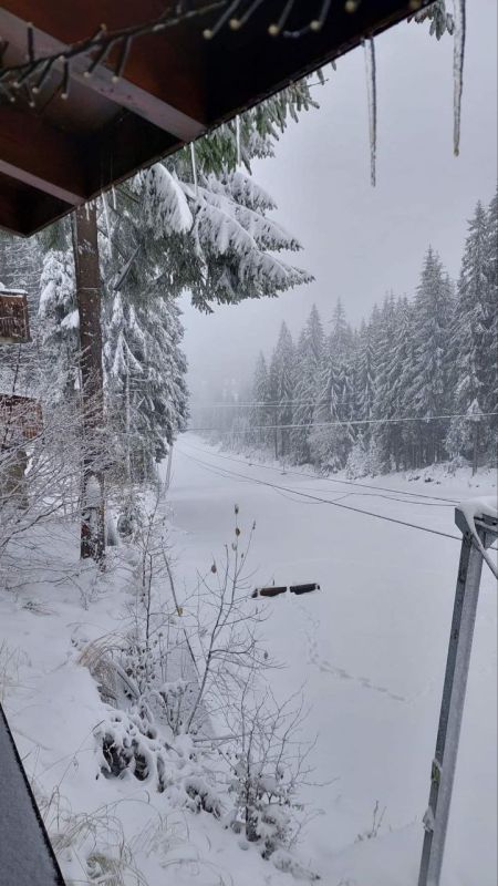 �������� � �����? ��, ���������� ���� �� ���������