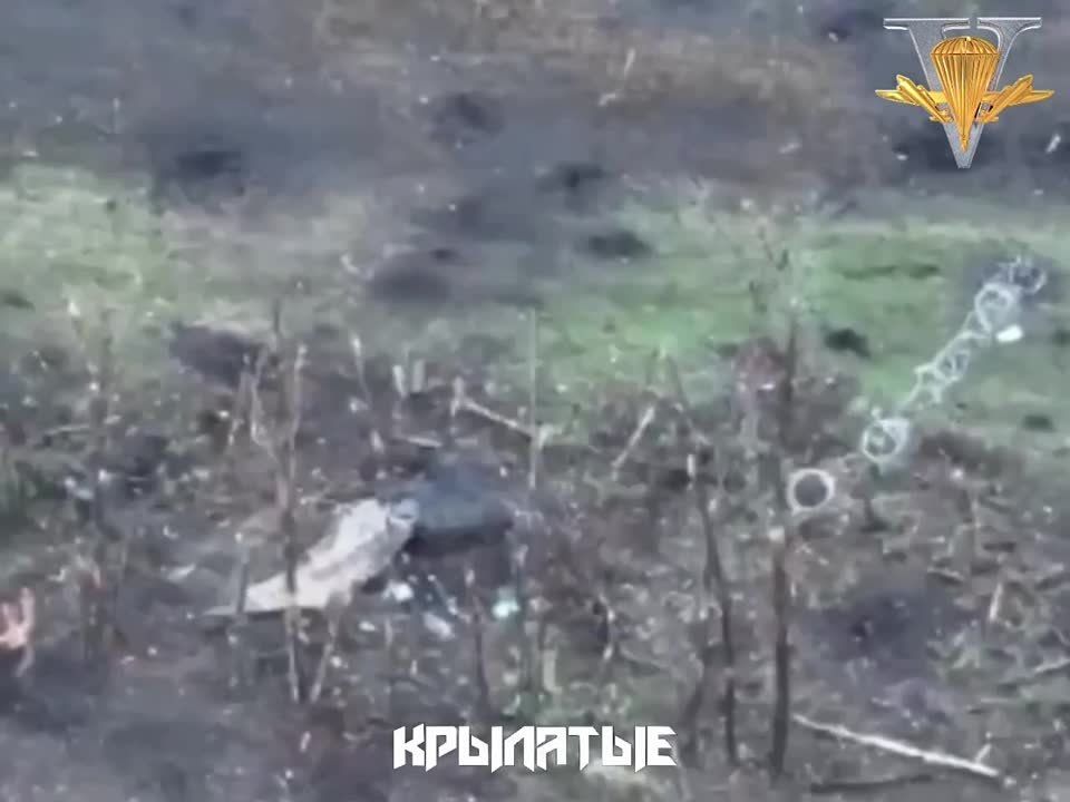 FPV-���� ������� � ����� � ���������� ������.