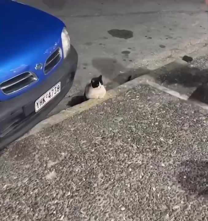 ������ ��������������?. ���������� ����� ������ �� ���� ��������! ����� ������ ����! � �������� � ����! ����� � �������!