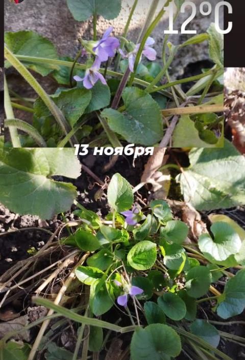 13 ������, ������ ������. �������� ������