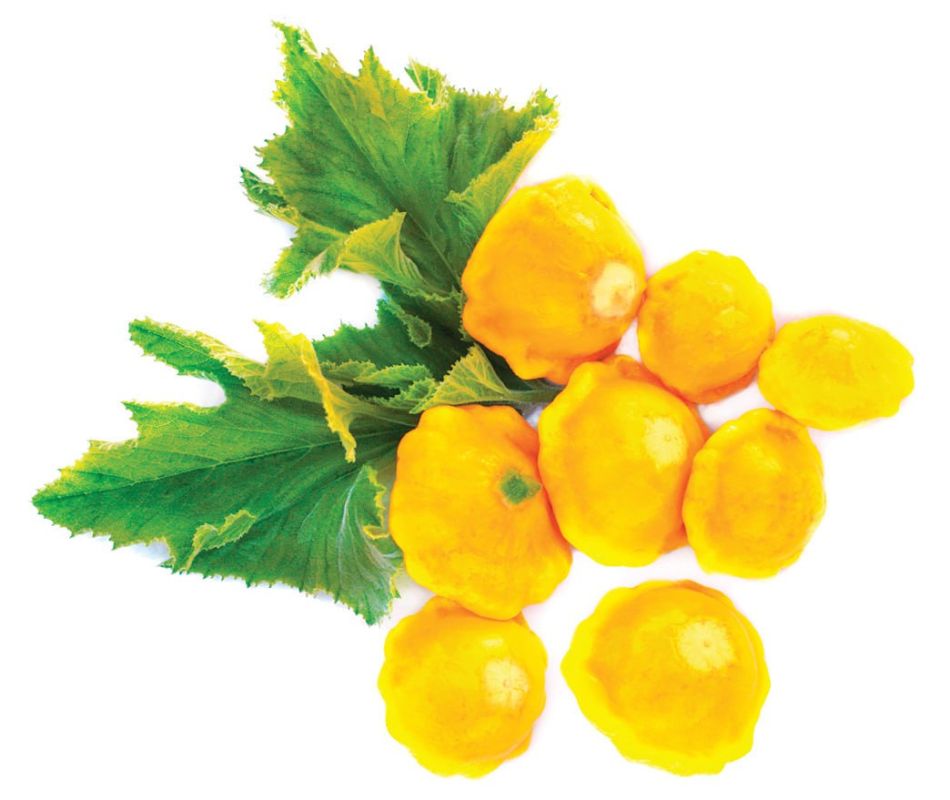 �������� �������. ���������� ��� ��������� � ������������ ������ ������� ����������� ���������������� ��� ��������� ���������