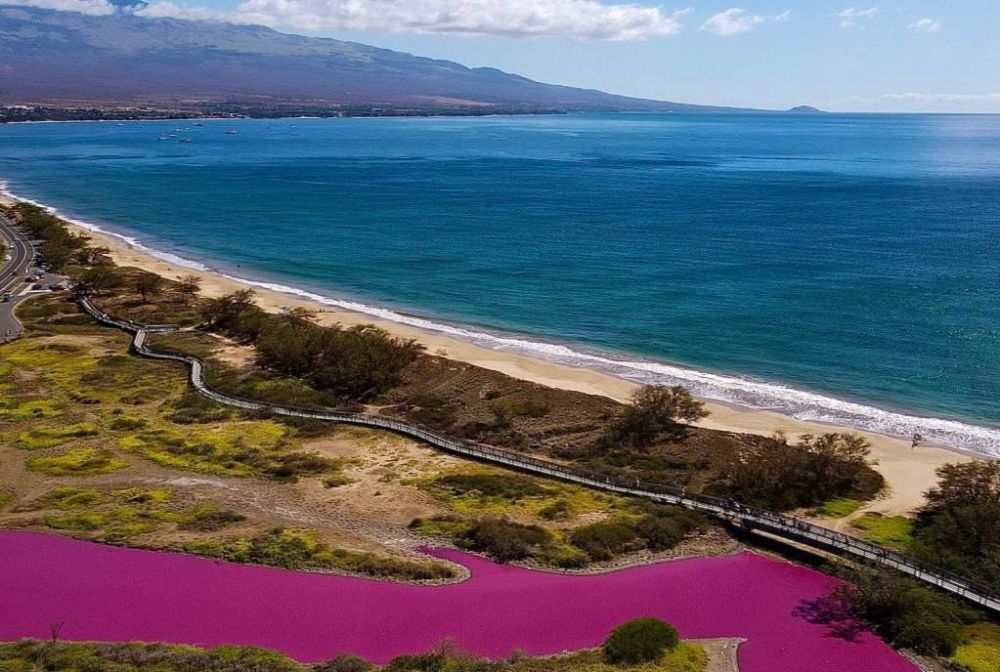 ����-������� ���� �������� �� �������