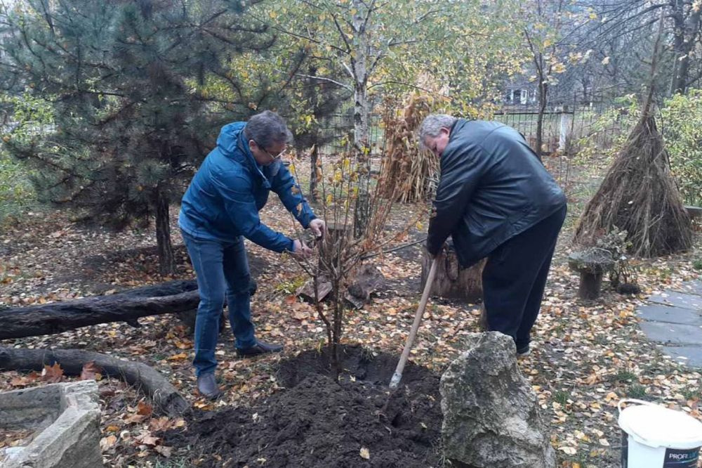 � ���� �������������������� ���������� � ���������� � ����� ������ �������� ����� 3 000 �������� �������� � �����������, �������� ����������������