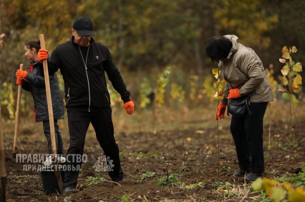 ������������� ������������� �������� ������� ���������� ������ �� ����� ����������