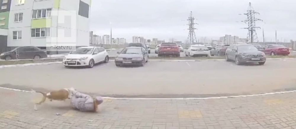 � ������ ���������� ������ �� ���������� ������ �� ���� ����� � � ������������ ������� ��������� ���� � ���� � ���� ������