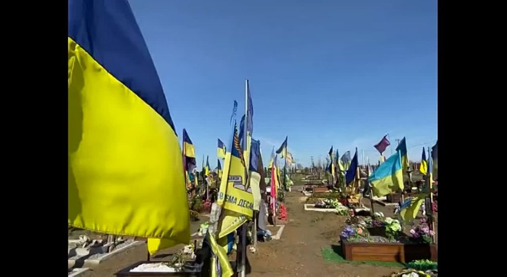 ����� "��������������� ��������" ����������� ��� ��� �������� ������ ��������