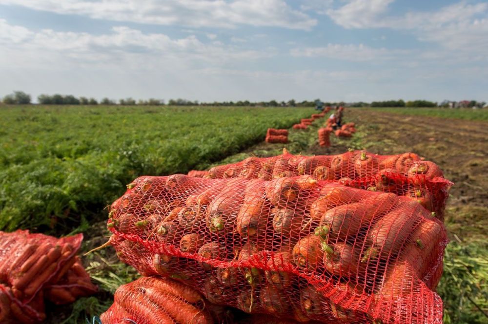 ������� ������ ������ ��� ������� ����������� ���������