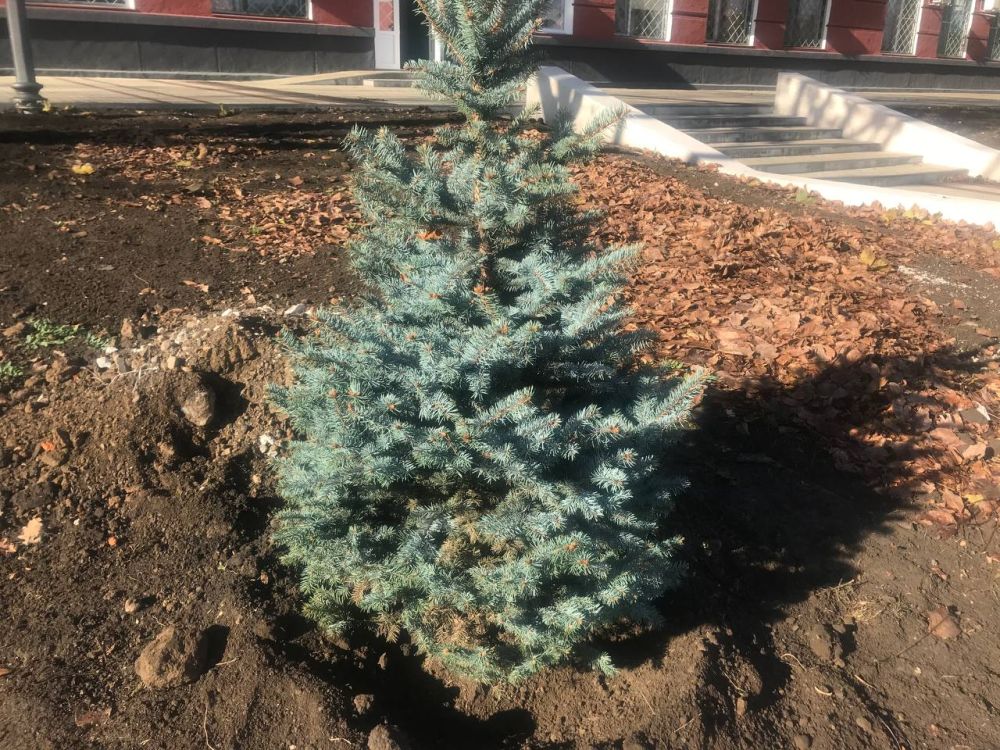 ���������� ������ ������������