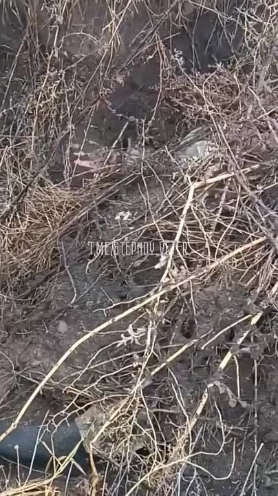 ����������� � ������ �������, ��������� "�������" � ������ ��������