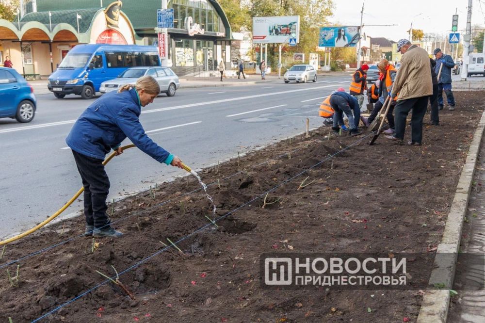 ������ ������ ��� �������� �� ������� � ���������