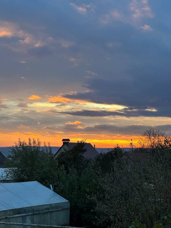 ����� �������� ������