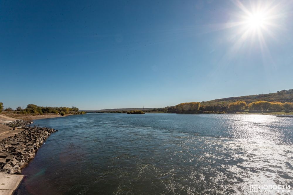 � 15 ������ ����������� ����������� �� ����������� ����