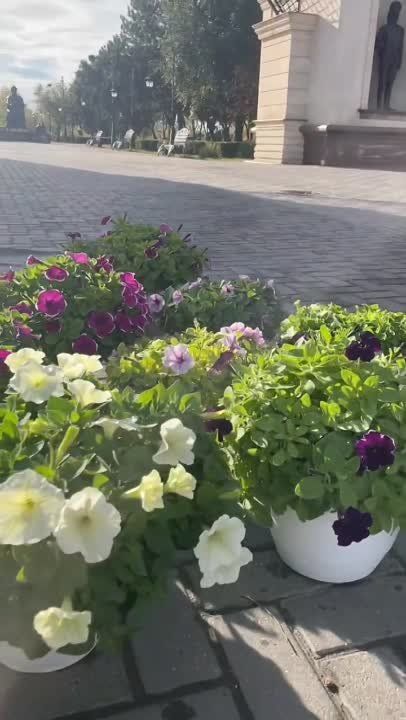 ������ ������� ���� ������ � ��� �� �����