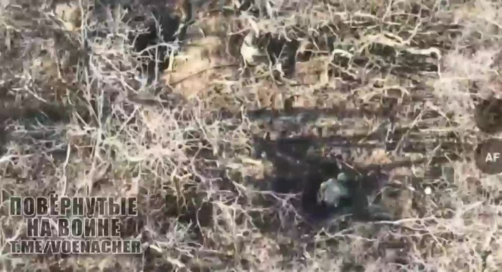 ���������� ������ �������� ����� ���������� �� ����� �� �����������