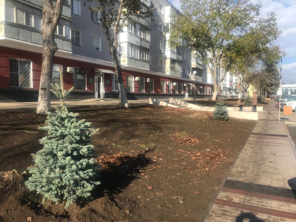 �� ����������� ����� ��������� � �������� �������� ������� ���