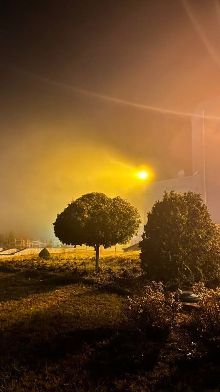 ������� ������� ������ �����