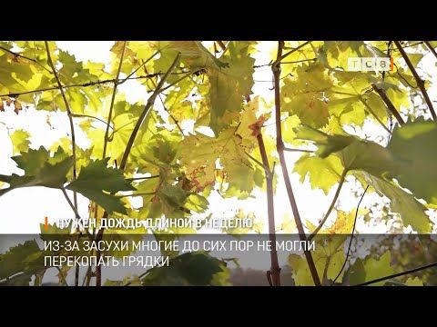 ���������� ����� ������� ������� �� ������. ��-�� ������ ������ �� ��� ��� �� ����� ���������� ������. ������ ���������...