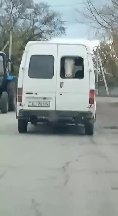 ��������� ������ � ���������.