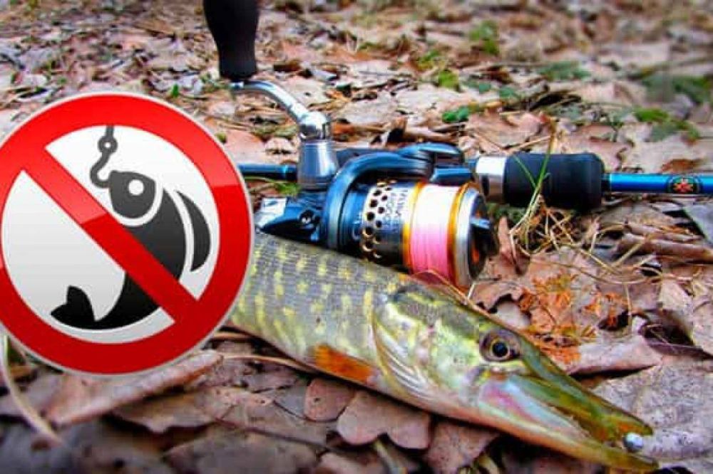 � 15 ������ �� 15 ����� ����������� ����������� �� ����������� ����