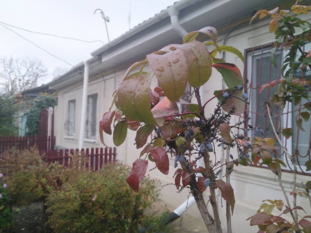 16 ������ ��������� ��������, ���� � ������������ ������, ����� ������� ������ �����