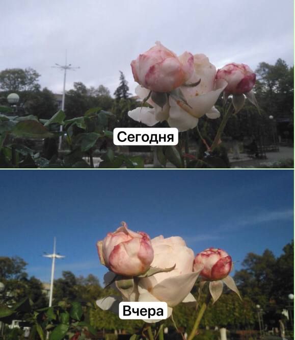 ������� � �����. ���� � ��� �� ��� � ��� ����� ��� ������ ������� ����