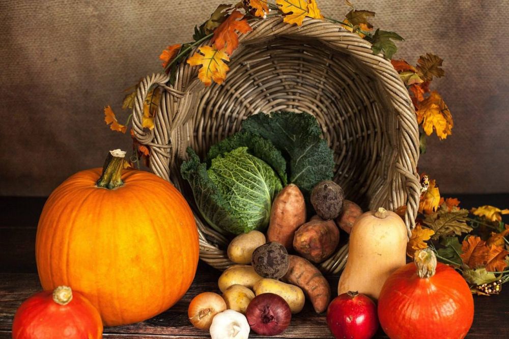 18 ������ � ��������� ������� ������� ��������� ���