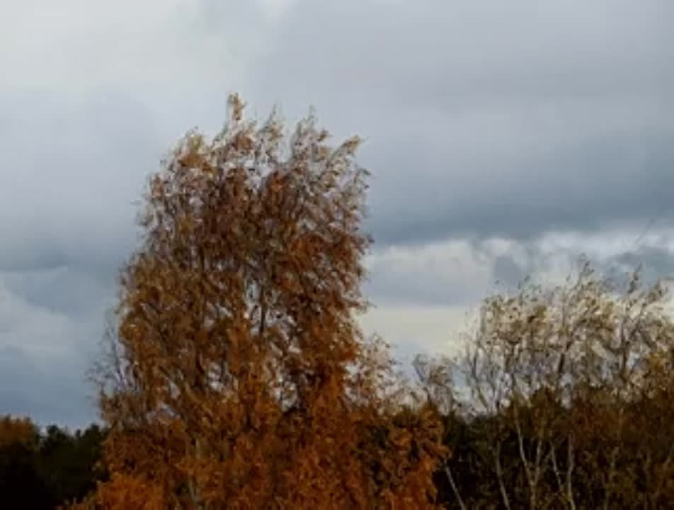 ��������: ��������� ��������������