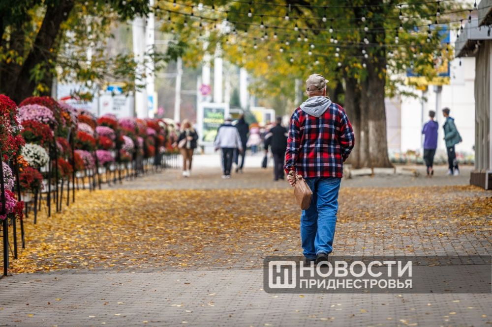 � �������� ����� ����� � ������� ������ �����, � �� ��������� ������ ������� ����� ������