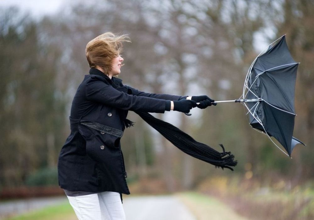 ��������� ��������������. �������, 16 ������, �� ���������� � ������� ��� ��������� �������� "��" ����� ������ 12�15 �/�