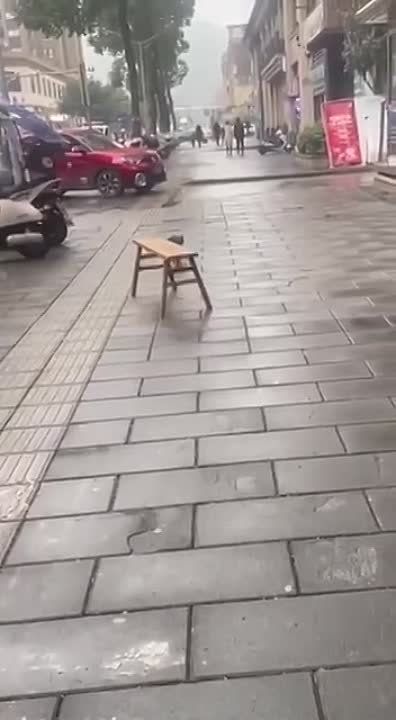 ���� ���� - �� ���� �����������.