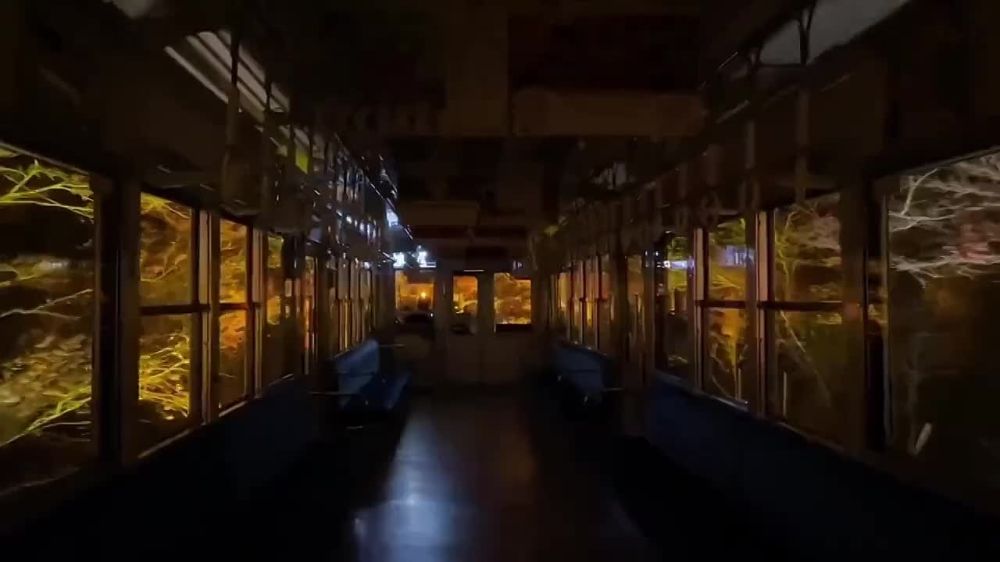 �������: ������ ����� ��������� ����� �������� � ������� �������