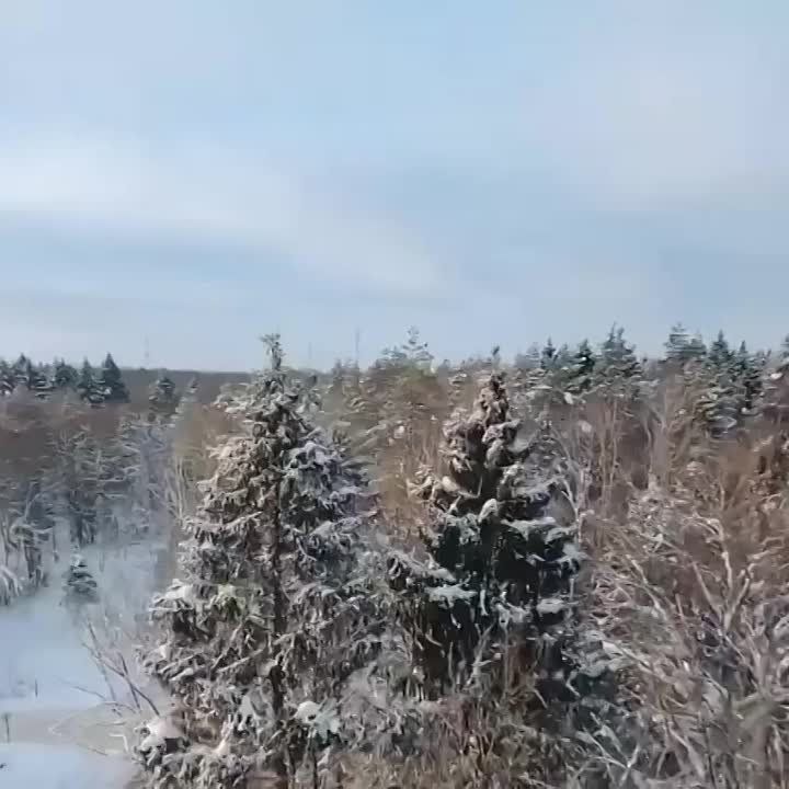 ������������, ������� �� ����, �������� ��������� �� �������, ������� ������ �� ������� � ���������� ��� �������