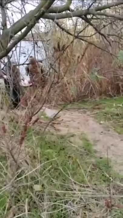 ���������� ������� ������� ��������� ������������ ����� 60 ���������