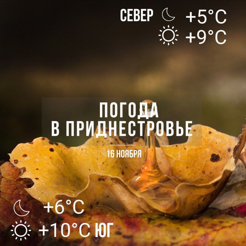 ������� ������� ���� � ��� �������