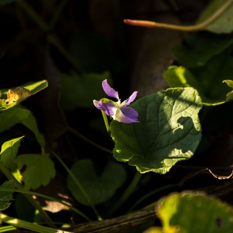 ������ � �������� ������ �� ������ �������������