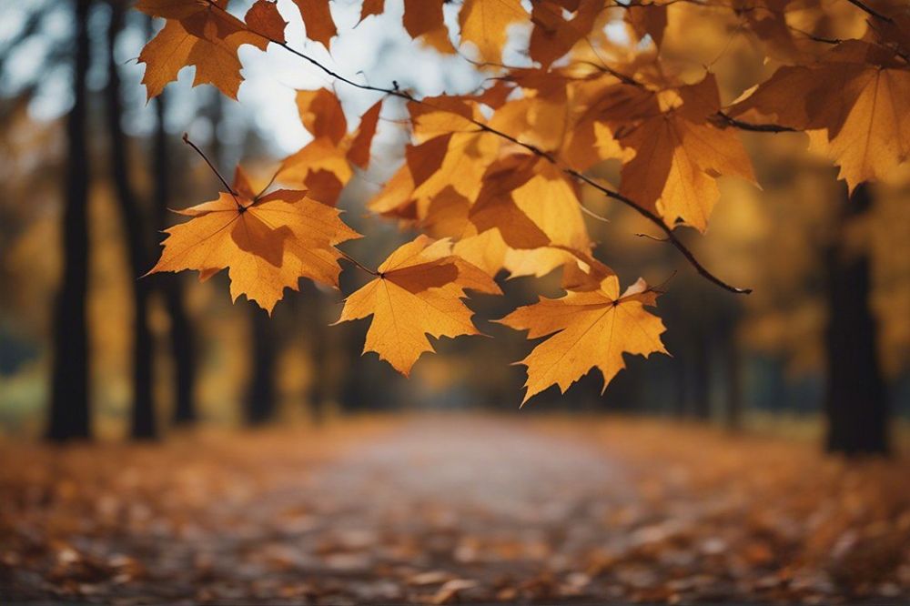 ��������, ��������� ��������������!