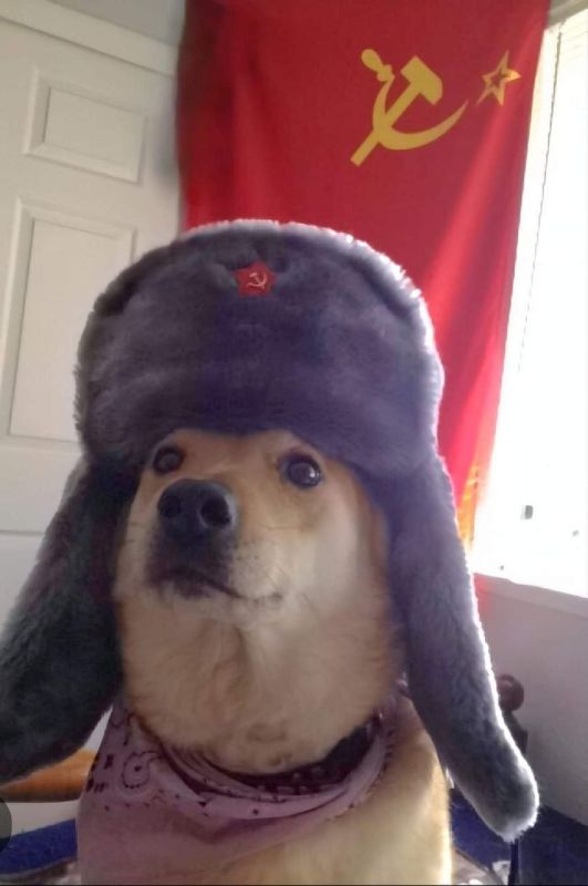 ������ ���� �����, ���������� ���������� �����, ��������� ������� ������