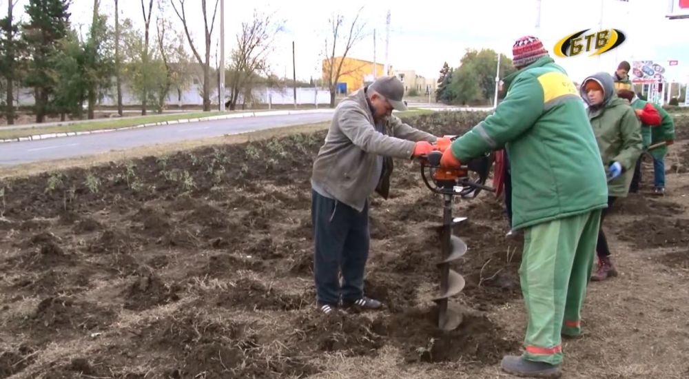 ����� �������� ���. ����� �������� ������ �����������